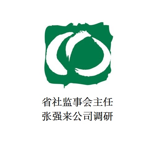省社监事会主任张强来公司调研
