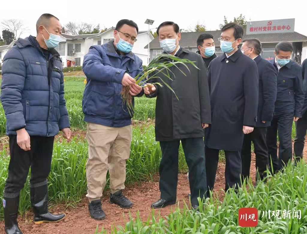 发挥龙头示范引领作用  做优做大做强粮食产业      ——四川供销粮油有限公司高质量推进农业产业化发展