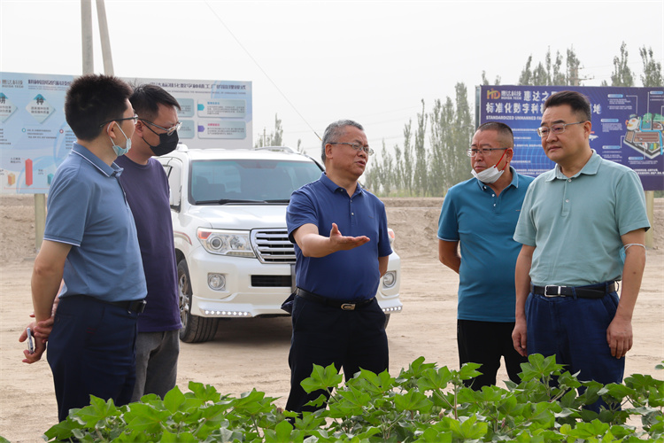 省供销社党组副书记、监事会主任张强调研新疆棉花产业和集团公司在疆企业